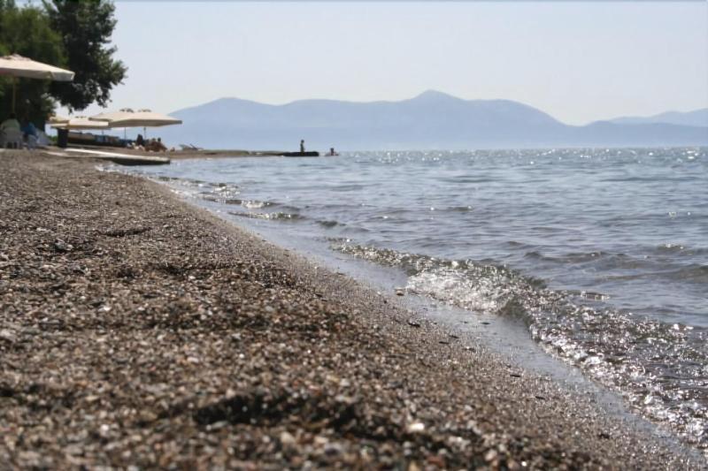Πανσιόν Πωσειδωνία Aparthotel Αμάρυνθος Εξωτερικό φωτογραφία